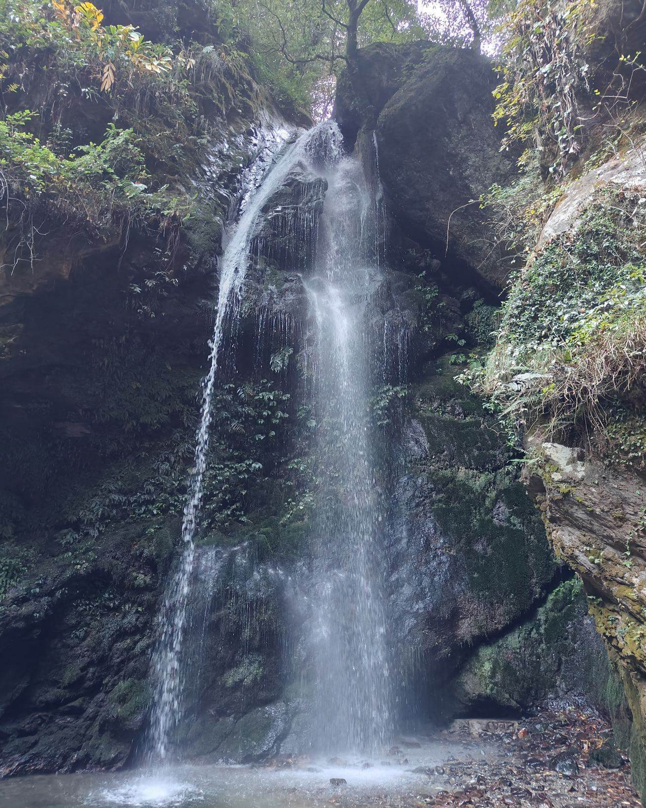 Jibhi Tirthan Jalori Pass package destination