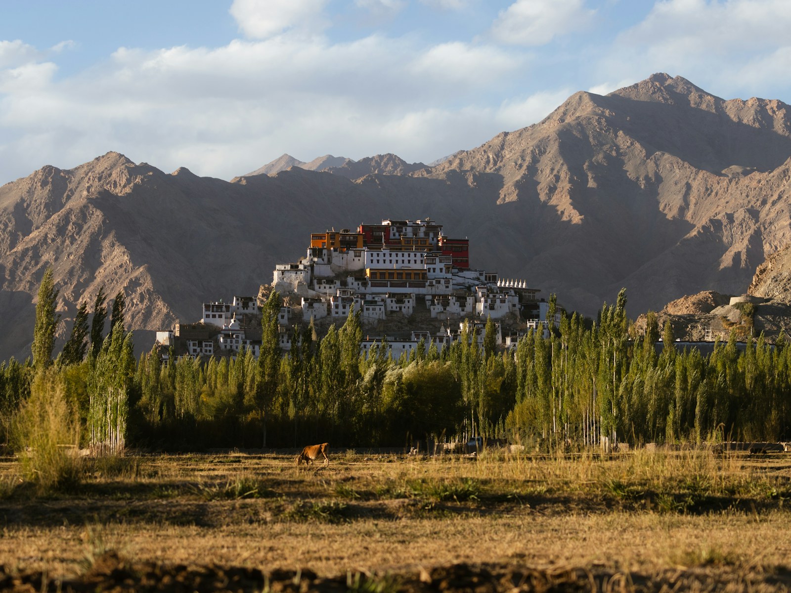 Thiksey Monastery in Ladakh