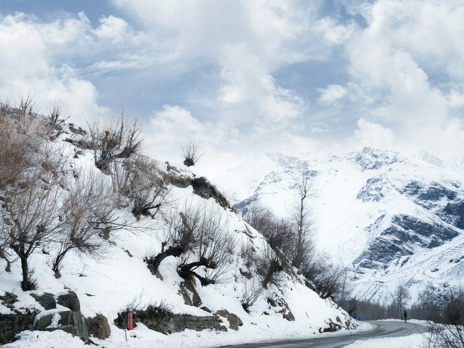 Manali Sissu Kasol landscape