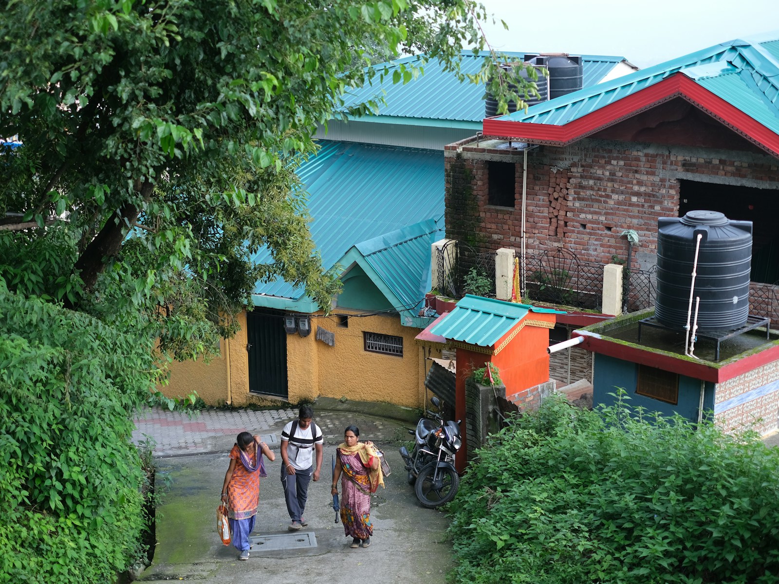McLeodganj Triund landscape